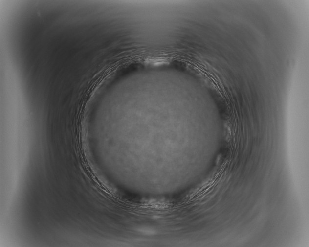 X0000115291393200911090942