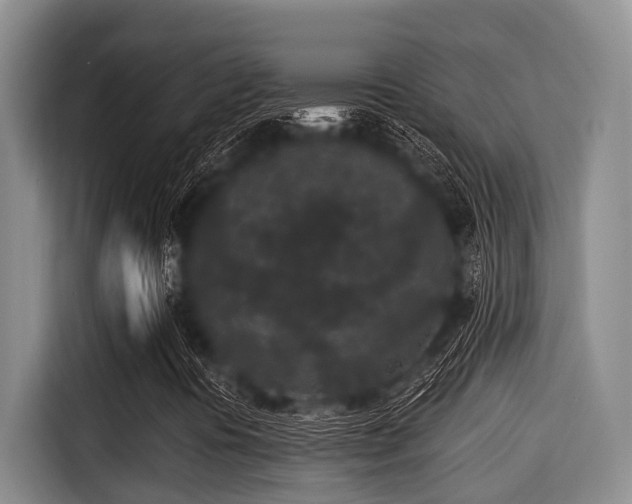 X0000115291394200911090942