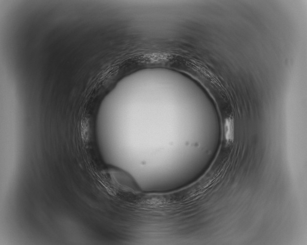 X0000115291395200911090942