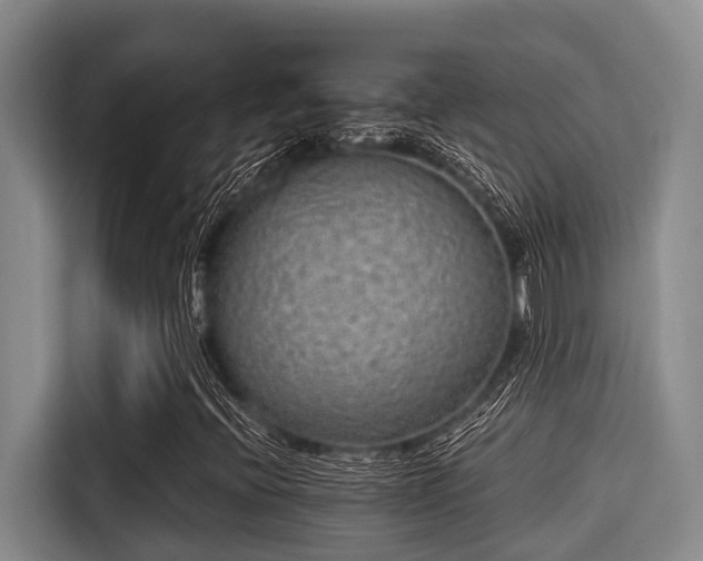 X0000115291396200911090942