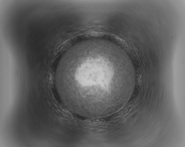 X0000115291397200911090942