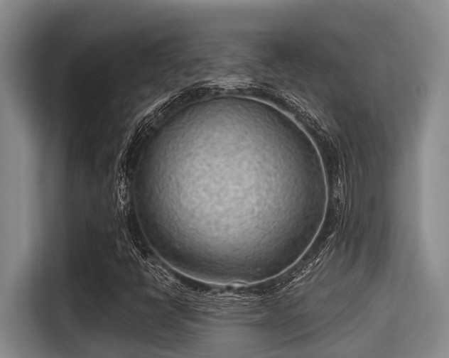 X0000115291398200911090942