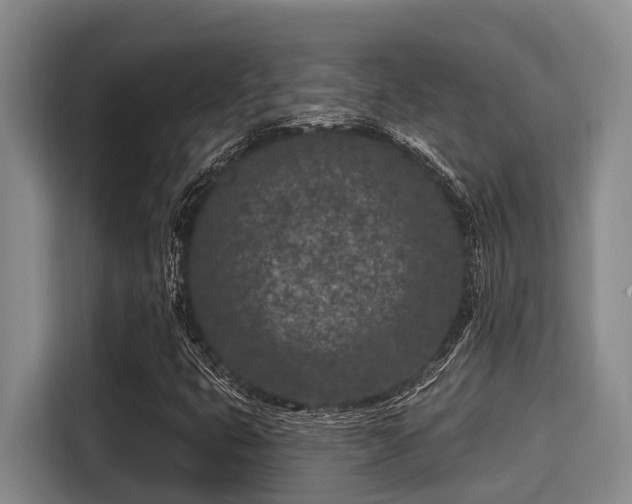 X0000115291399200911090942