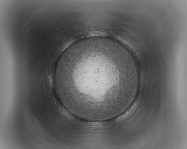 X0000115291401200911090942