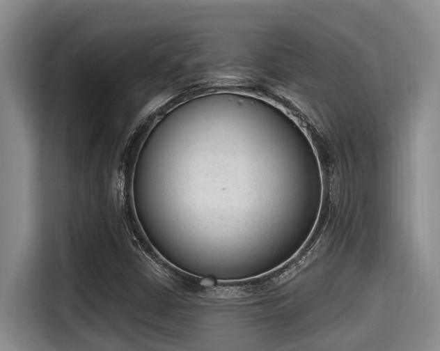 X0000115291402200911090942