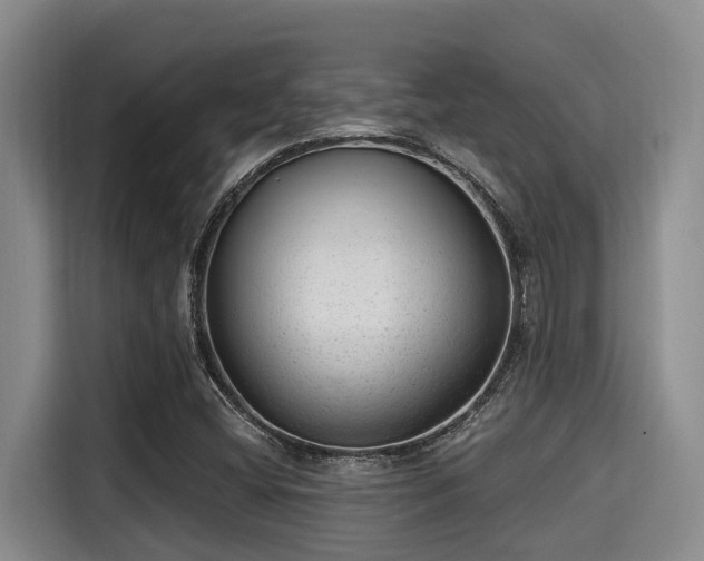X0000115291404200911090942