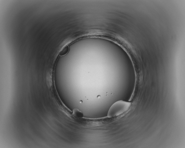 X0000115291409200911090943