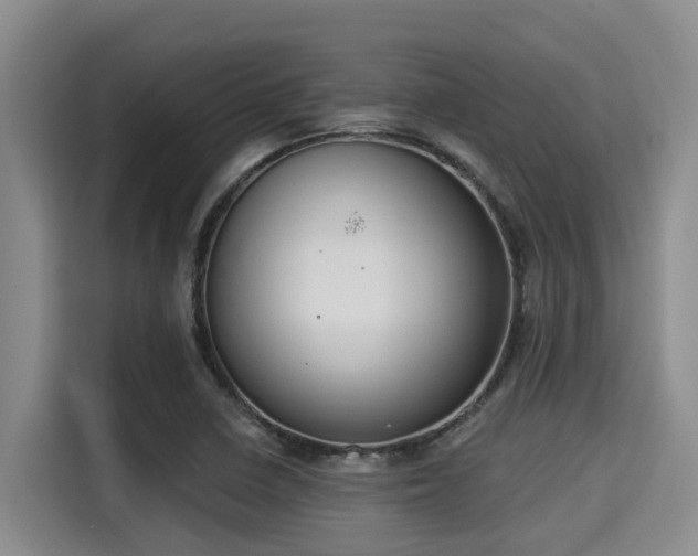 X0000115291410200911090943