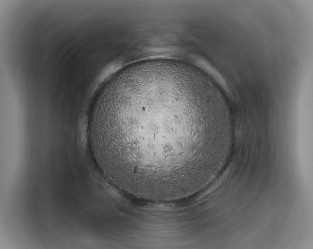 X0000115291411200911090943