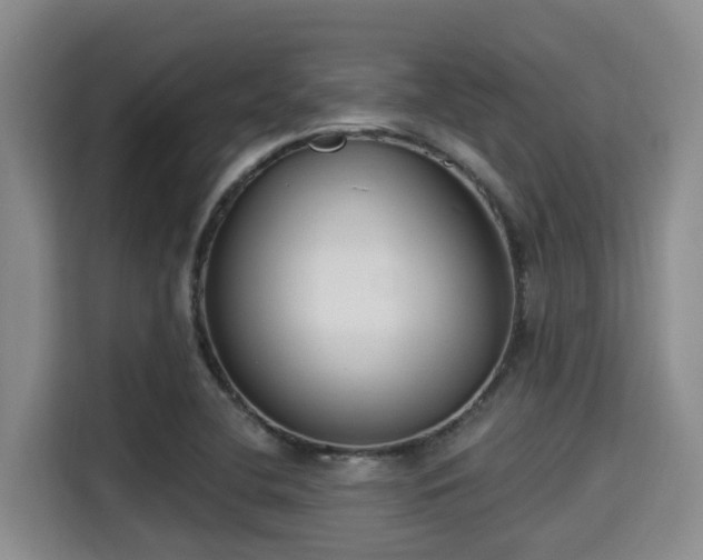 X0000115291412200911090943