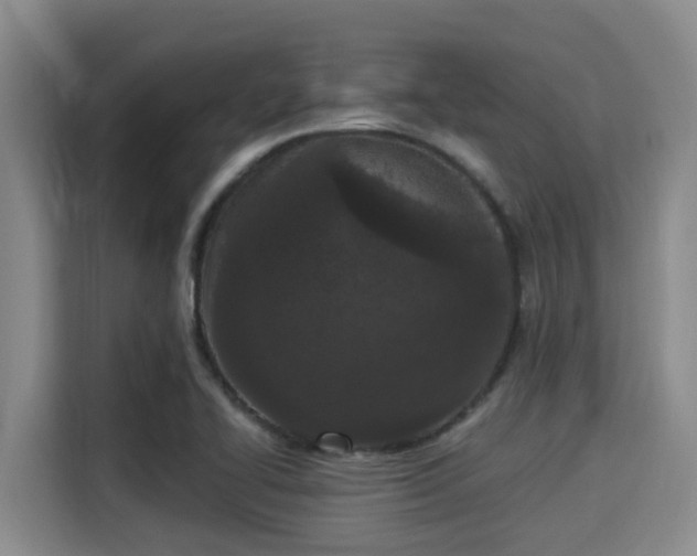 X0000115291414200911090943