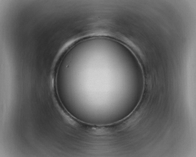 X0000115291416200911090943