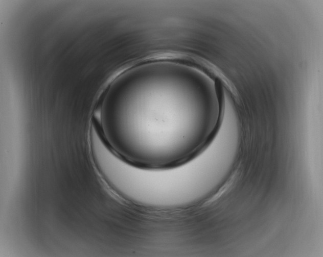 X0000115291417200911090943