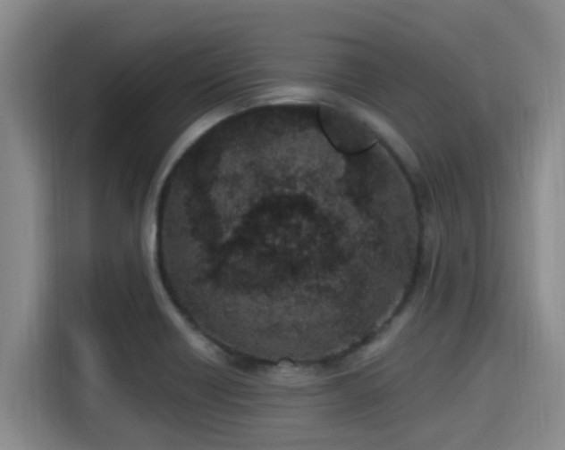 X0000115291418200911090943