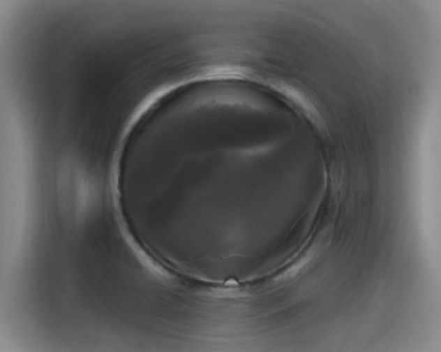 X0000115291422200911090943