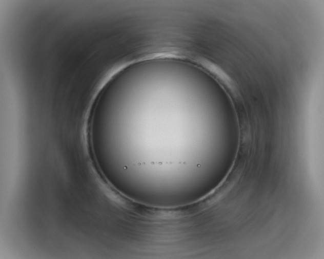 X0000115291423200911090943