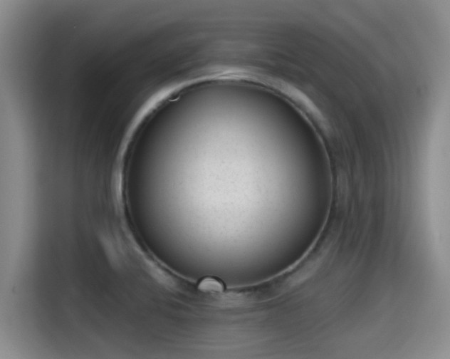 X0000115291424200911090943