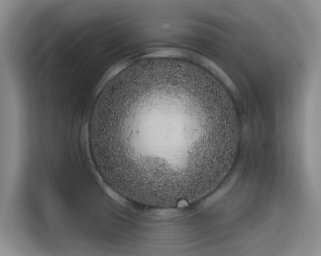 X0000115291425200911090943
