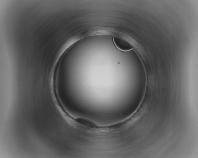X0000115291426200911090943
