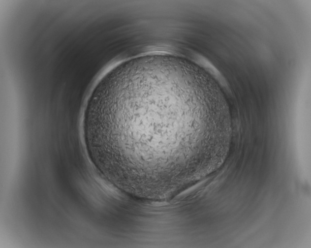 X0000115291427200911090943