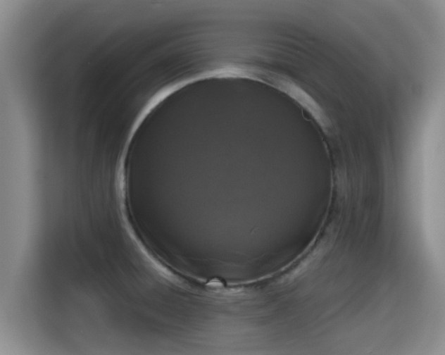 X0000115291428200911090943