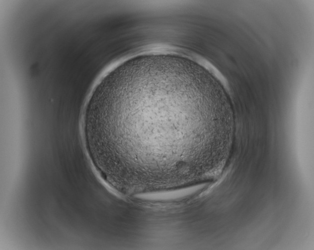 X0000115291429200911090943