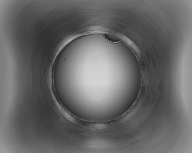 X0000115291431200911090943