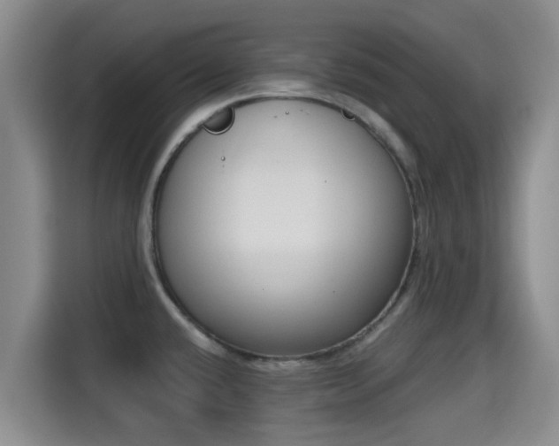 X0000115291432200911090943