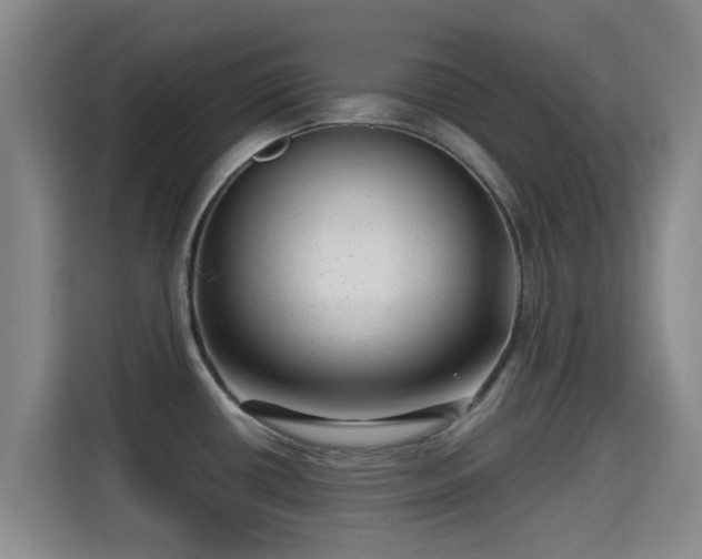 X0000115291434200911090943