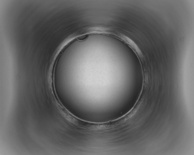 X0000115291435200911090943