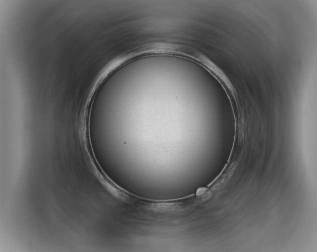 X0000115291437200911090943