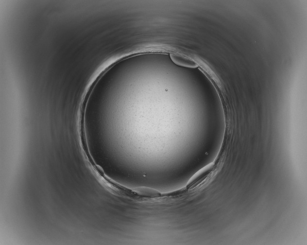 X0000115291438200911090943