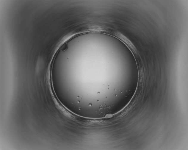 X0000115291439200911090943