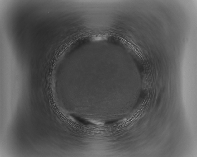 X0000115291441200911090942