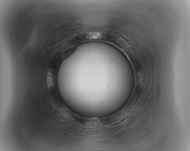 X0000115291442200911090942
