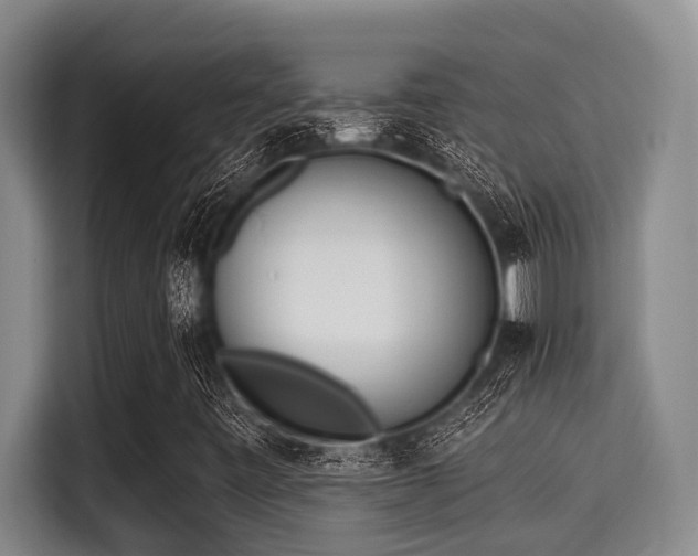 X0000115291443200911090942