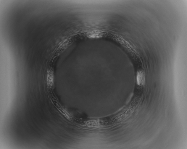 X0000115291444200911090942