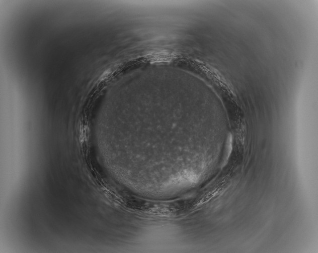 X0000115291445200911090942