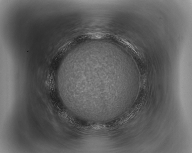 X0000115291446200911090942