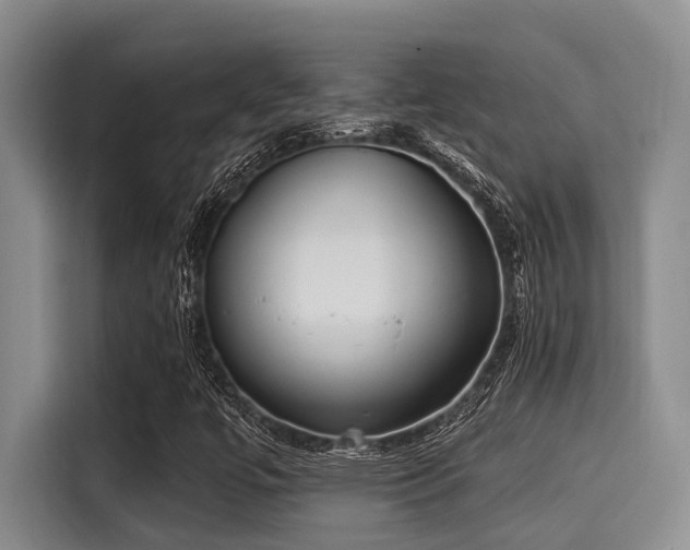 X0000115291447200911090942