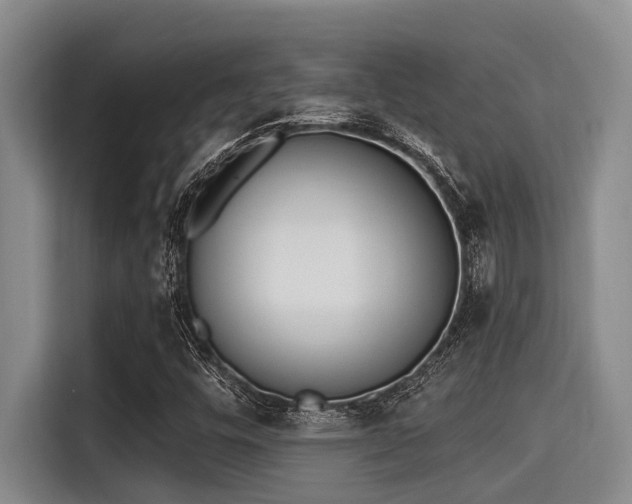 X0000115291448200911090942