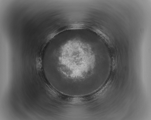 X0000115291449200911090942