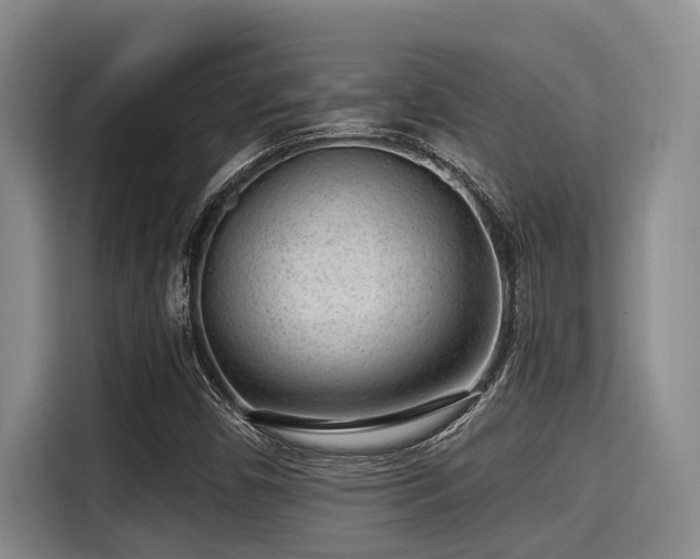 X0000115291450200911090942