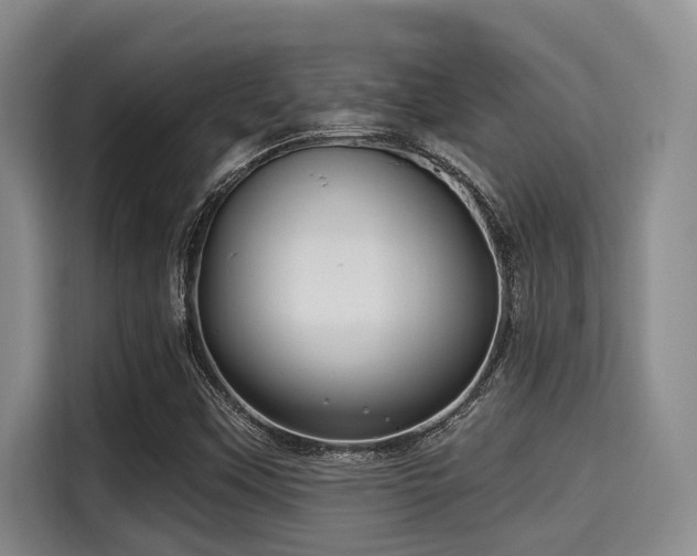X0000115291451200911090942