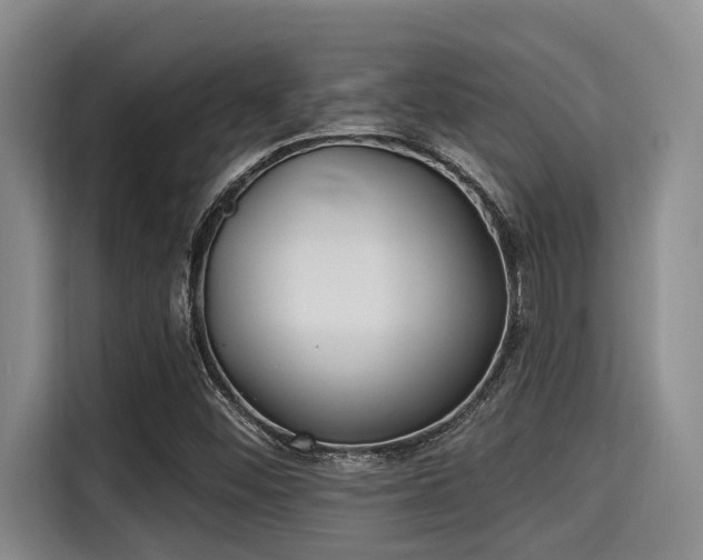 X0000115291452200911090942