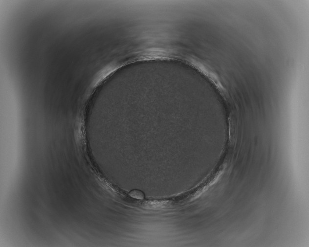 X0000115291453200911090942