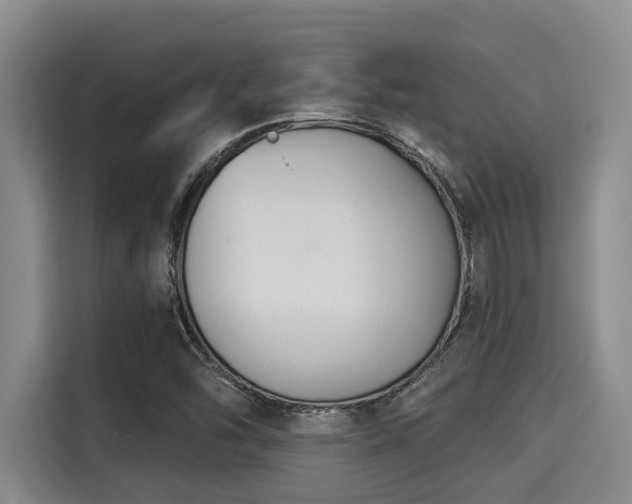 X0000115291454200911090942
