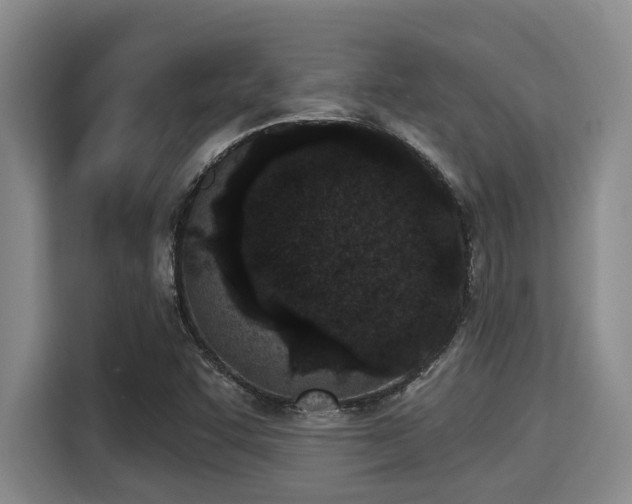 X0000115291455200911090942