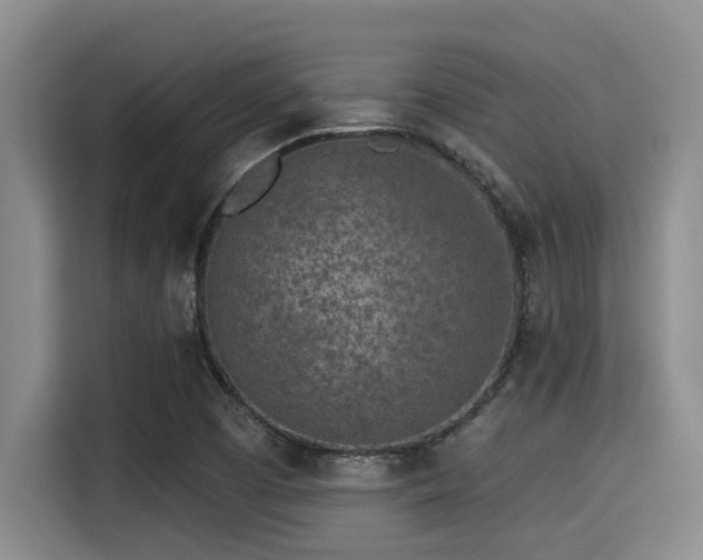 X0000115291457200911090942