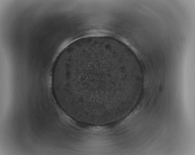X0000115291459200911090942